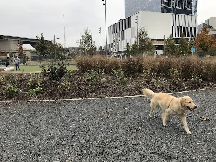 Downtown Dog Park 8