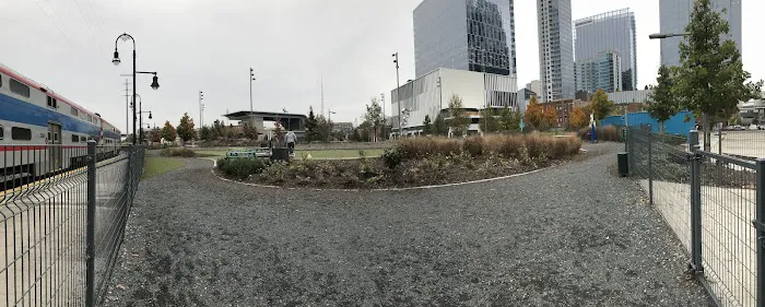 Downtown Dog Park 3