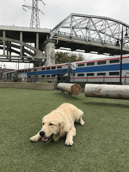 Downtown Dog Park 7
