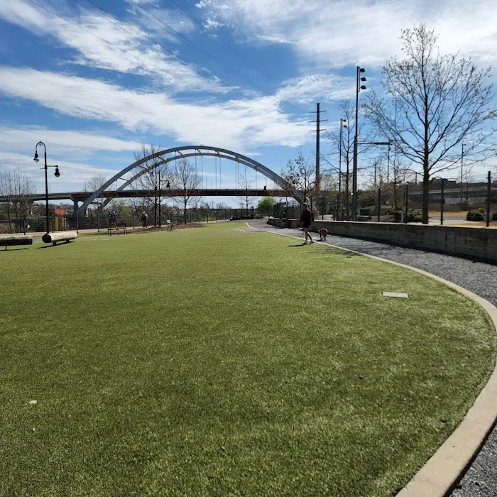 Downtown Dog Park 10