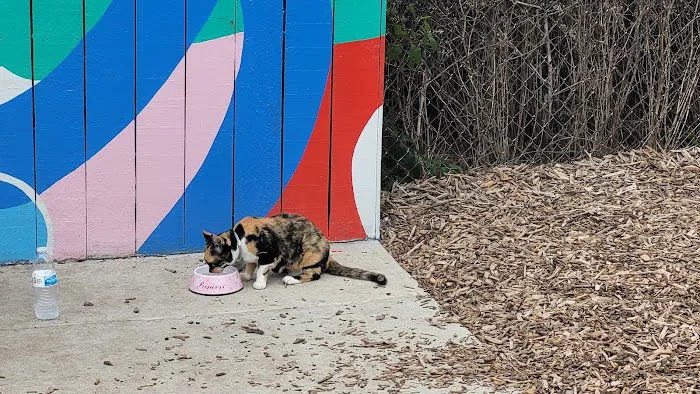Gulch Dog Park 9