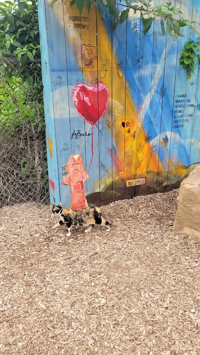 Gulch Dog Park 6