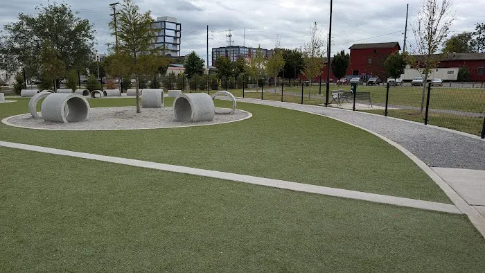 Central Dog Park 2