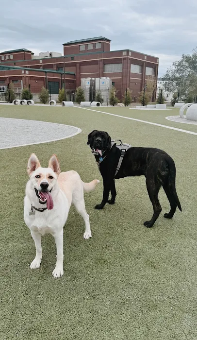 Central Dog Park 6