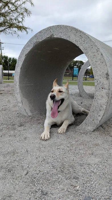 Central Dog Park 4