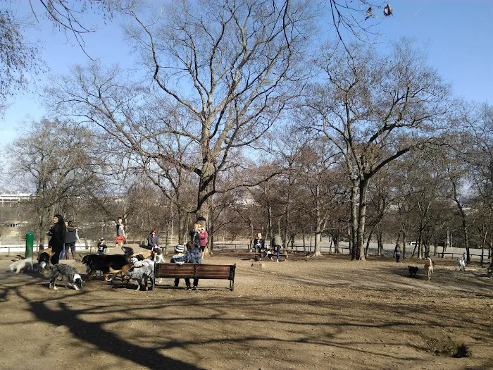 Centennial Dog Park 10