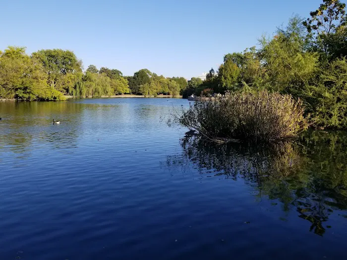Centennial Dog Park 4