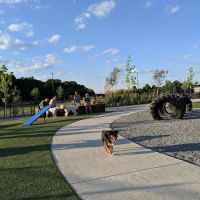 Fair Park Dog Park ico