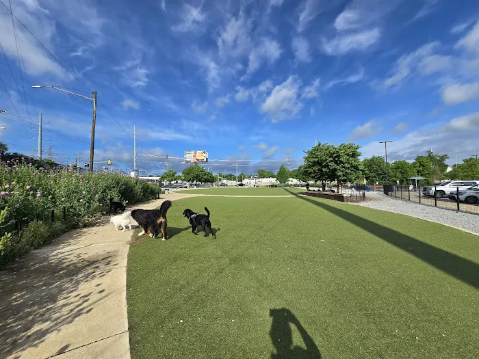 Fair Park Dog Park 8