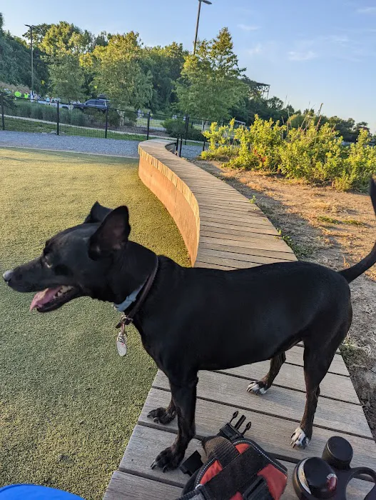 Fair Park Dog Park 4