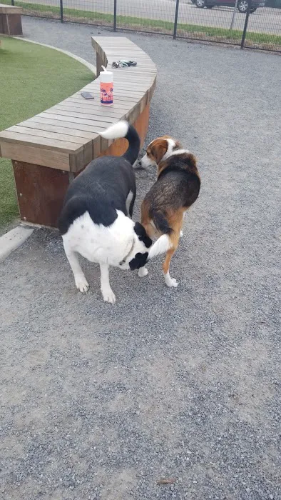 Fair Park Dog Park 10
