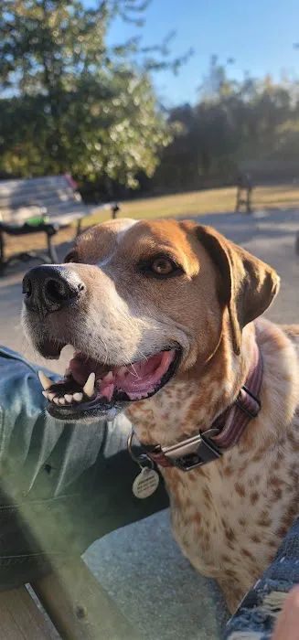 Shelby Dog Park 1