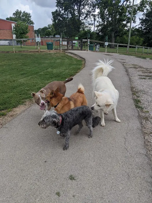 Shelby Dog Park 10