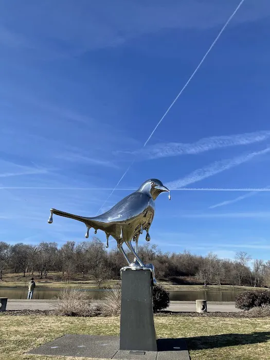 Shelby Dog Park 6