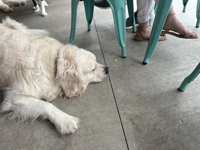 Urban Dog Bar 2