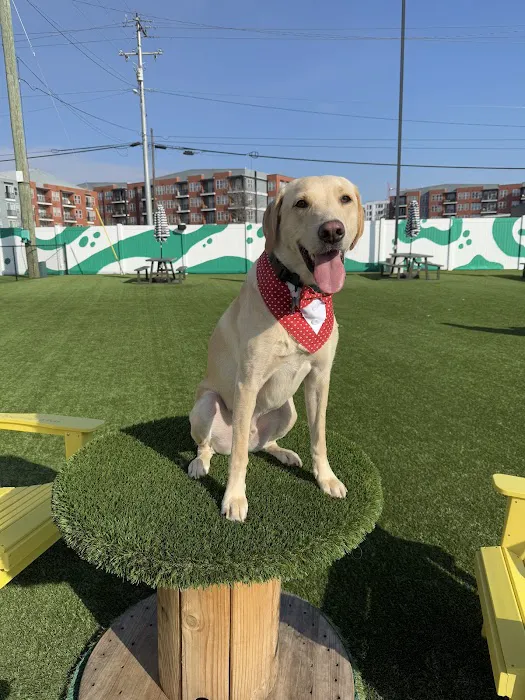 Urban Dog Bar 1