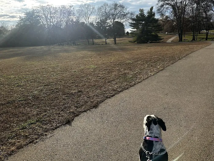 Two Rivers Dog Park 10