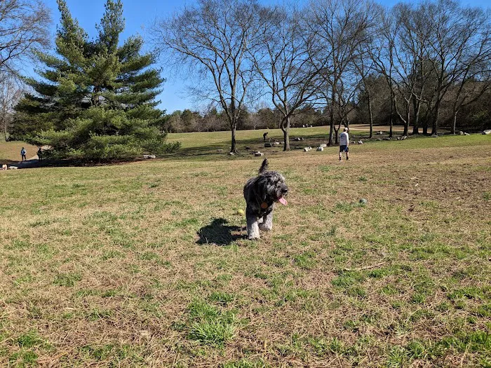 Two Rivers Dog Park 4