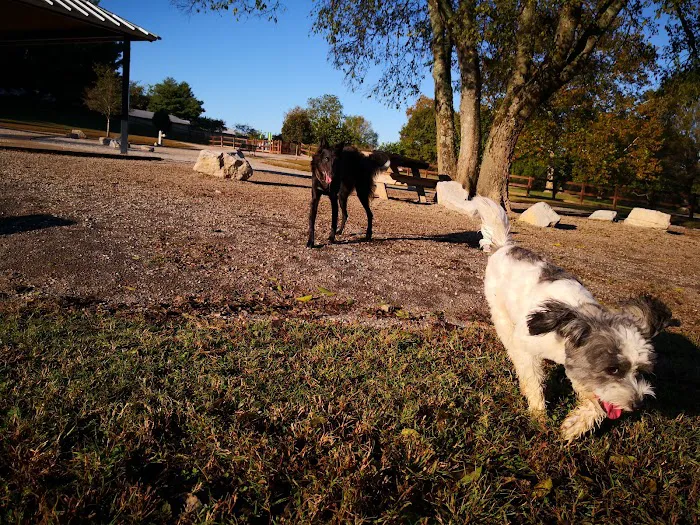 Two Rivers Dog Park 5