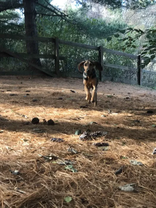 Two Rivers Dog Park 8