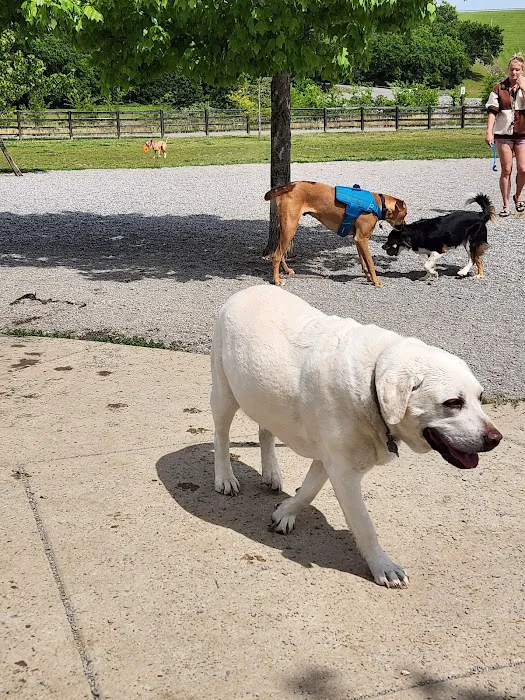 Stones River Dog Park 9