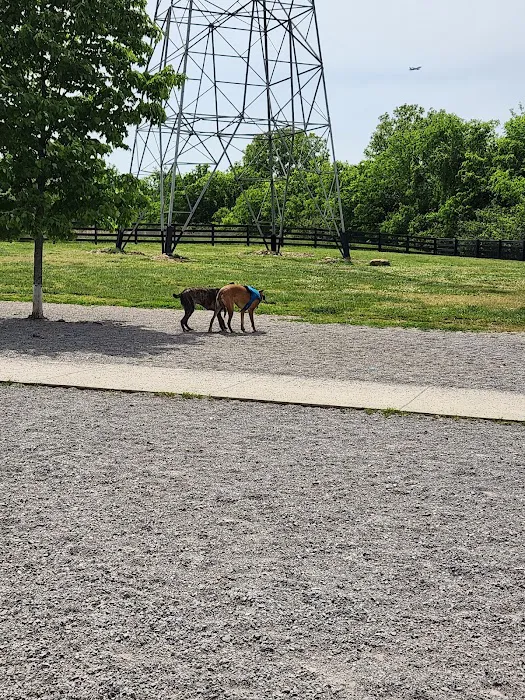 Stones River Dog Park 8