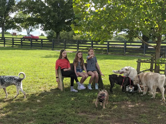 Edwin Warner Dog Park 2
