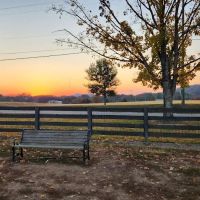 Edwin Warner Dog Park ico