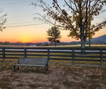 Edwin Warner Dog Park
