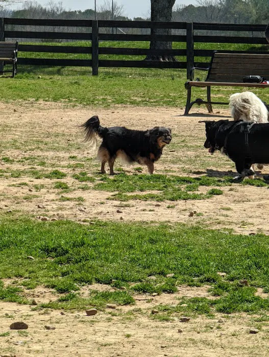 Edwin Warner Dog Park 9