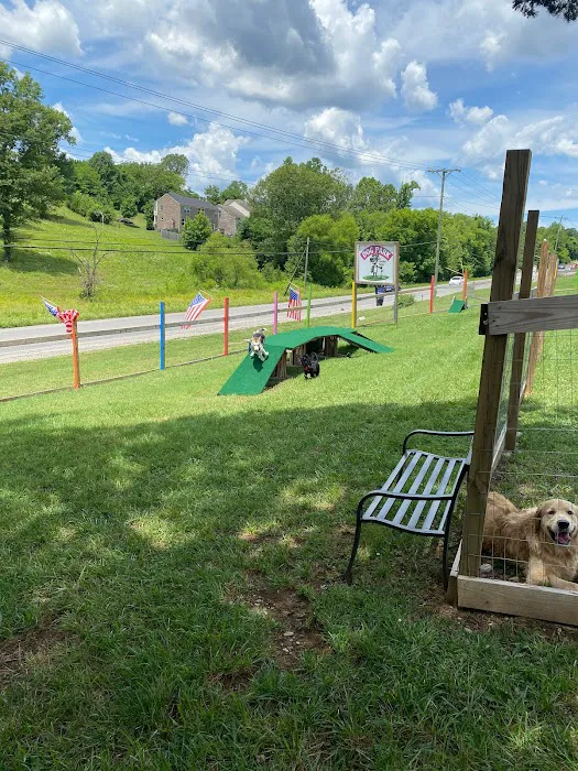 Blue's Dog Park 1