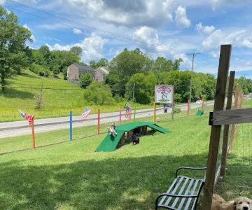 Blue's Dog Park