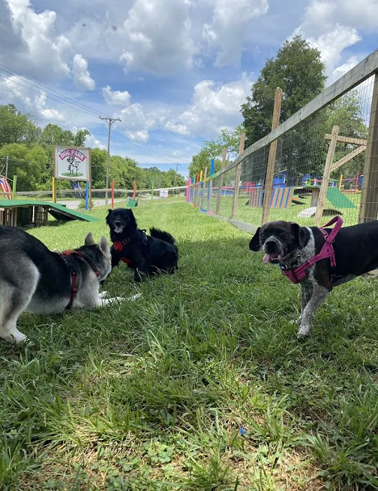 Blue's Dog Park 7