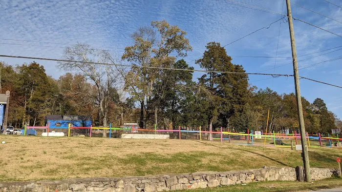 Blue's Dog Park 4