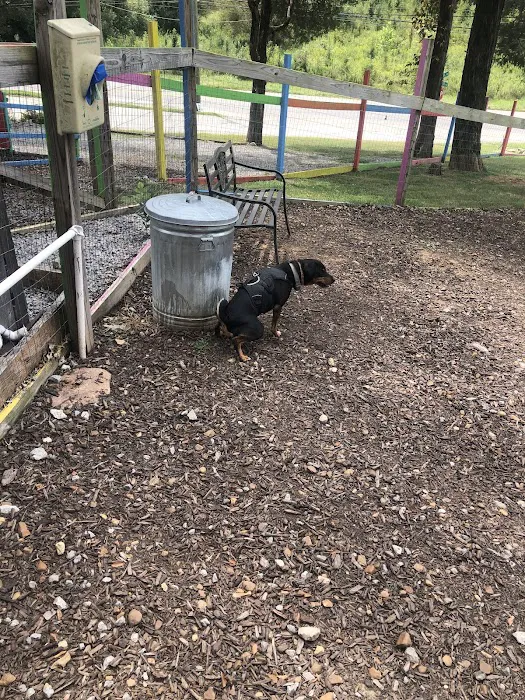 Blue's Dog Park 8