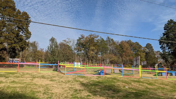 Blue's Dog Park 5