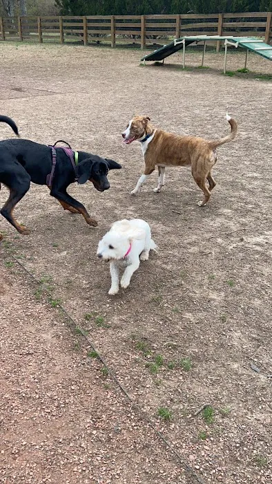 Miss Peggy's Bark Park (formerly Barkwood Dog Park) 2