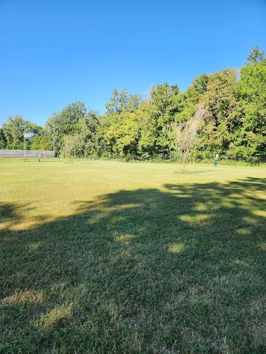 Ashland City Dog Park 6