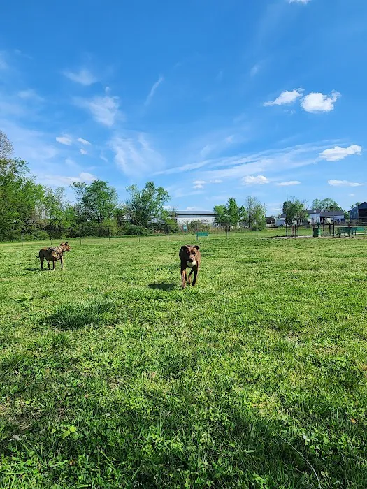 Ashland City Dog Park 5