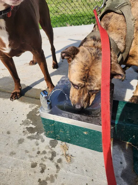 Ashland City Dog Park 8
