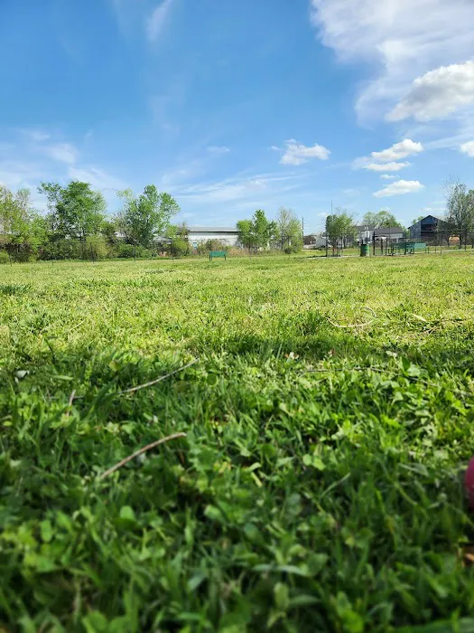 Ashland City Dog Park 9