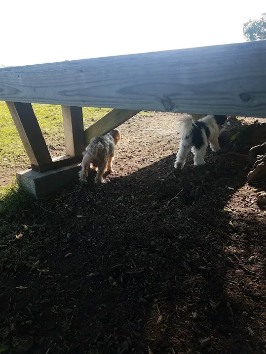 Fenway's Dog Park 1
