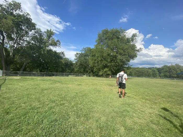 Fenway's Dog Park 7