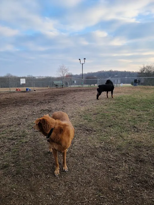 Fenway's Dog Park 6