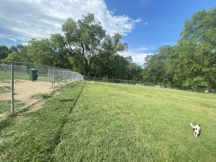 Fenway's Dog Park 9