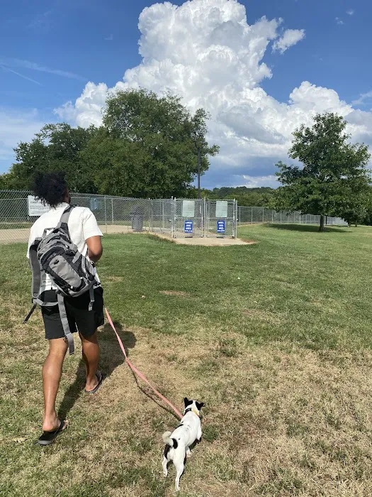Fenway's Dog Park 8