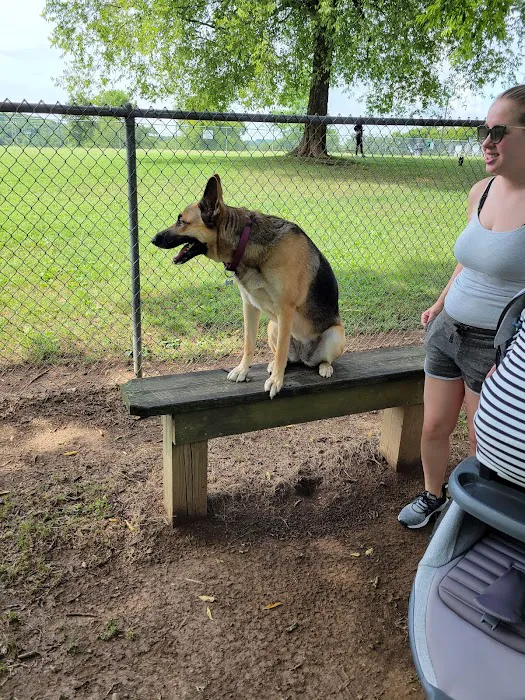 Fenway's Dog Park 3