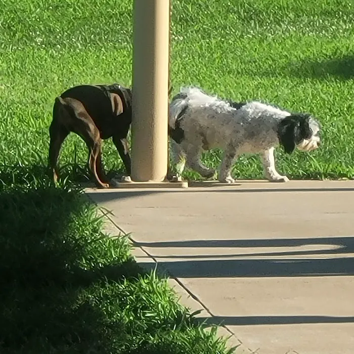 K-9 Korral Dog Park 3