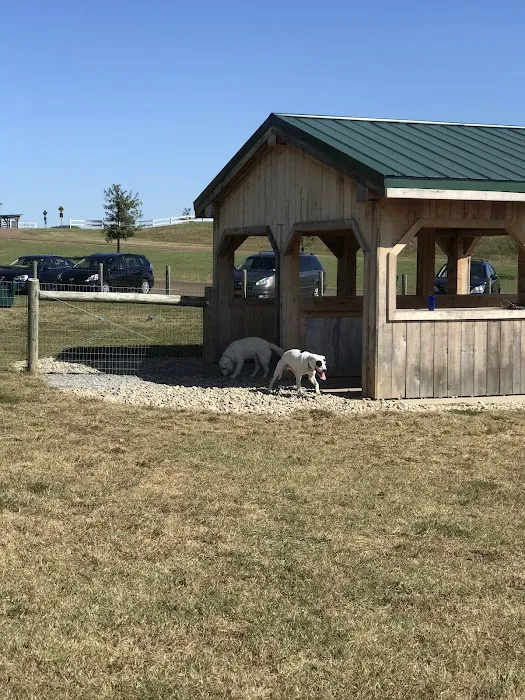 K-9 Korral Dog Park 2