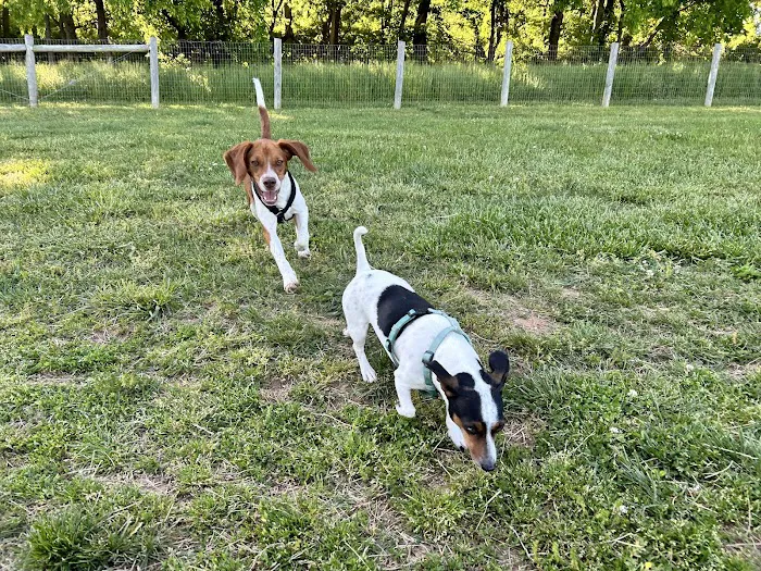 K-9 Korral Dog Park 6